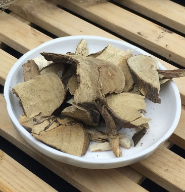 臭梧桐根,常年批发供应各种规格梧桐根中药材,量大从优货真