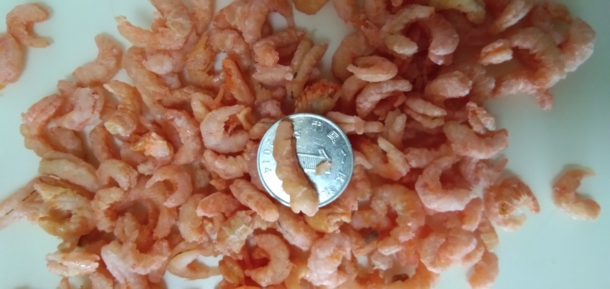 炒虾仁配图：新鲜虾仁与切好的子姜片摆放在案板上，旁边是葱段和蒜片