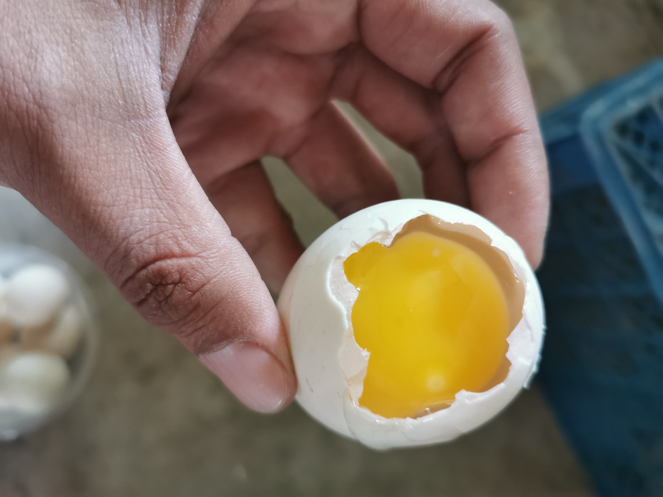 剥鸡蛋不粘壳 - 敲击鸡蛋并开始剥壳