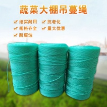 吊秧绳吊蔓绳农业专用绳子爬藤网拉绳蔬菜吊绳线抗氧化耐腐蚀