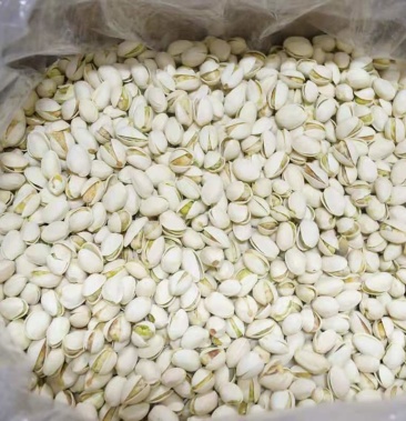 开心果种子新疆吐鲁番地区托克逊县包成活保质量