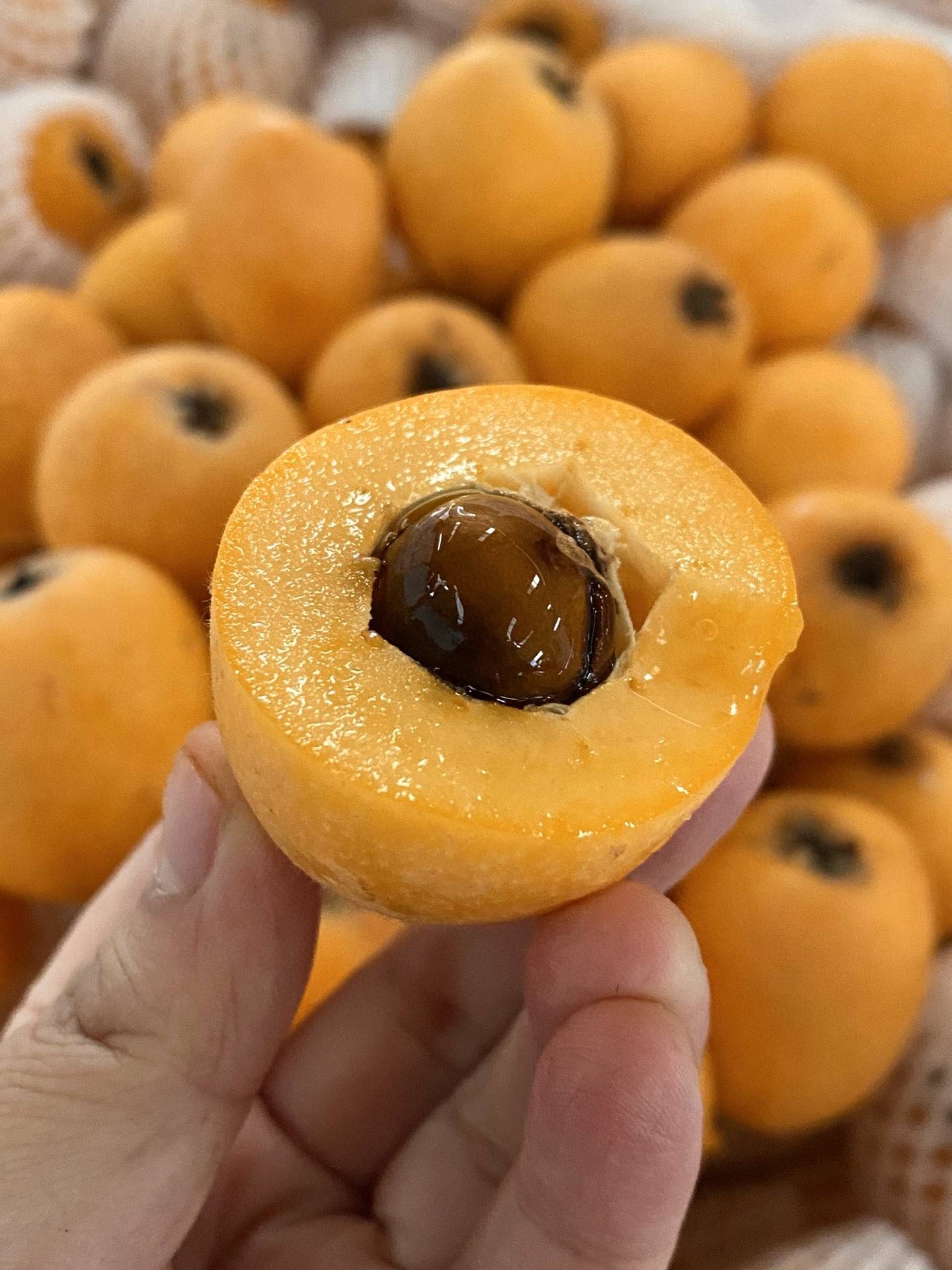 [枇杷批发]自家产地绿色水果枇杷价格8.00元/斤 - 一亩田