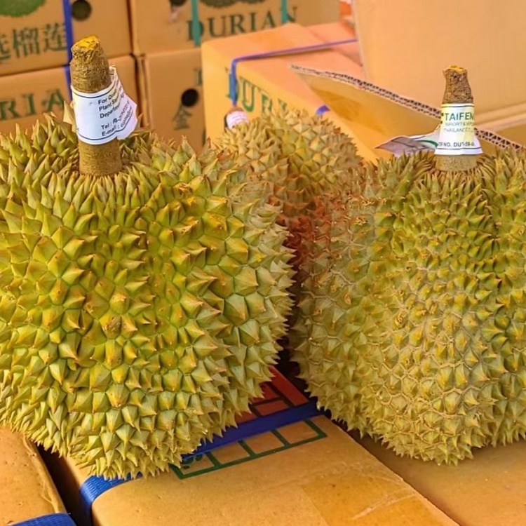 [榴莲批发]泰国榴莲托曼尼甲仑金枕现货5-10头可发全国价格730.
