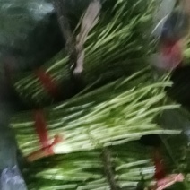 湖北省孝感市云梦县芦蒿专售