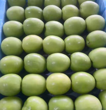 福建牛奶枣原产地批发精品