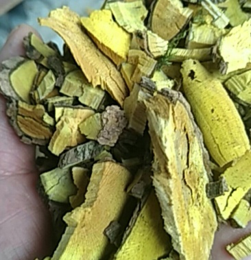 [功劳木批发]十大功劳纯野生干货,山里采挖,自然晒干,量大有优惠价格