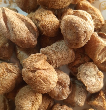 野生中药材桑螵蛸螳螂籽熟桑螵蛸