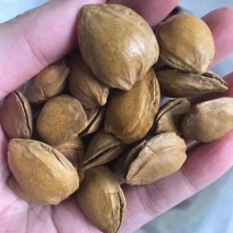 开口五香杏仁奶香味干果