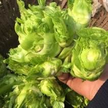 大江边上精品儿菜，很少红头，按要求采装
