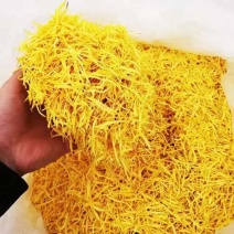 金丝皇菊婺源沫子大货批发