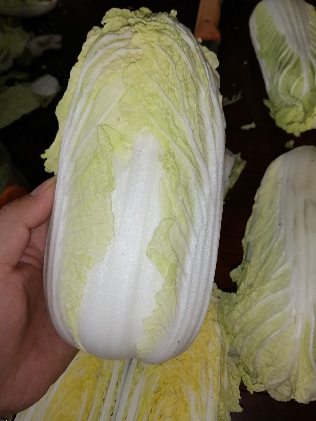 产地直销娃娃菜库存菜精品菜