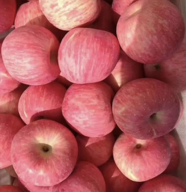 静宁红富士全条红苹果