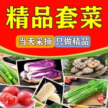 寿光蔬菜精品套菜礼盒春节蔬菜礼盒蔬菜大礼包批发