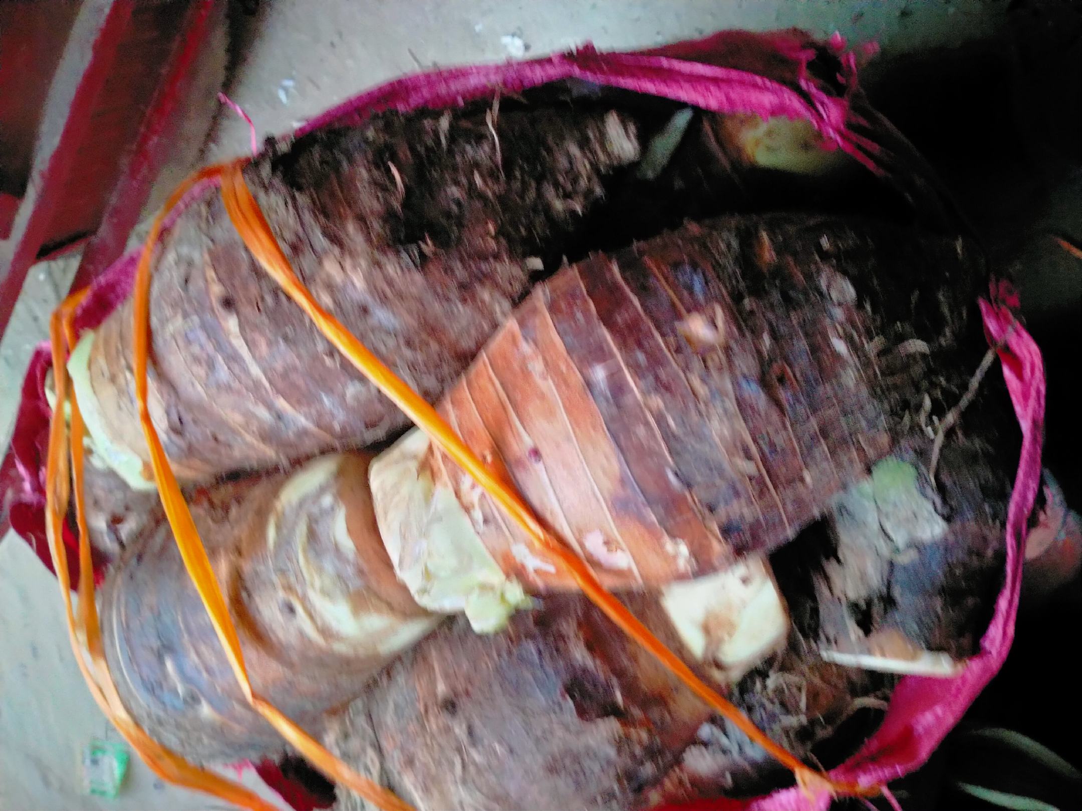 荔浦芋头与其他芋头并列对比图