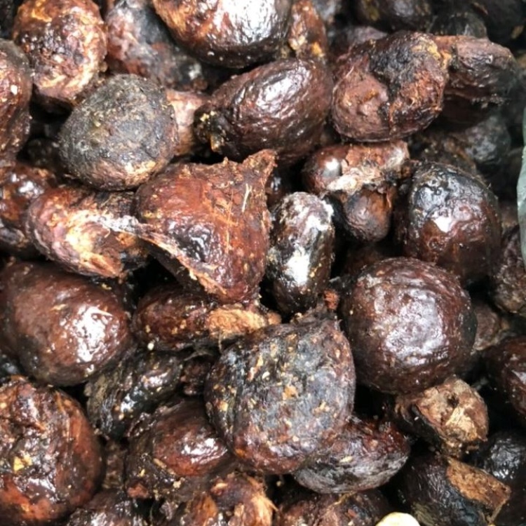 [油桐籽批发]出售野生桐籽,货好,量多价格2.60元/斤 - 一亩田