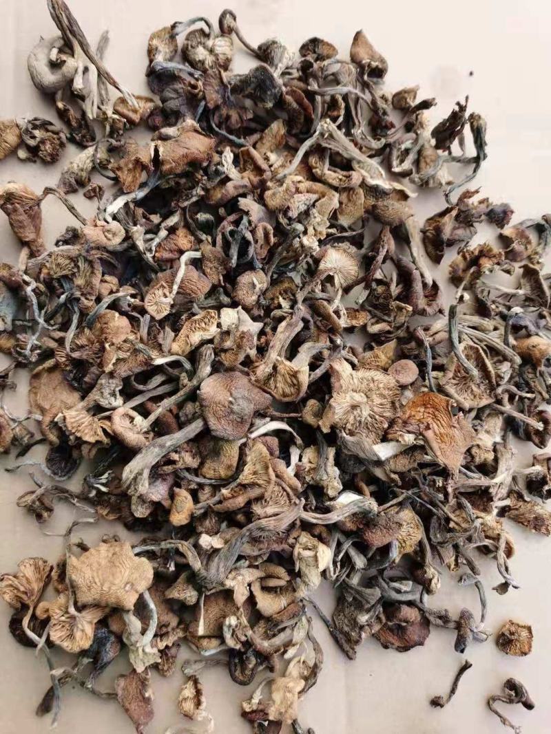 [榛蘑批发]辽宁抚顺清原县榛蘑 65.00元/斤榛蘑东北山货干榛 _ 一亩田