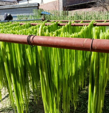 云南大理宾川贡菜莴笋干天然晾晒口感好质量上乘