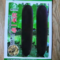 抗病高产铁心冬瓜种子，吊瓜地瓜都可以种植，可常年供应
