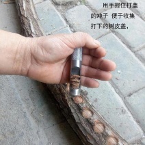 14毫米打皮冲盖香菇木耳打盖子14冲皮点钟工具木盖子冲子