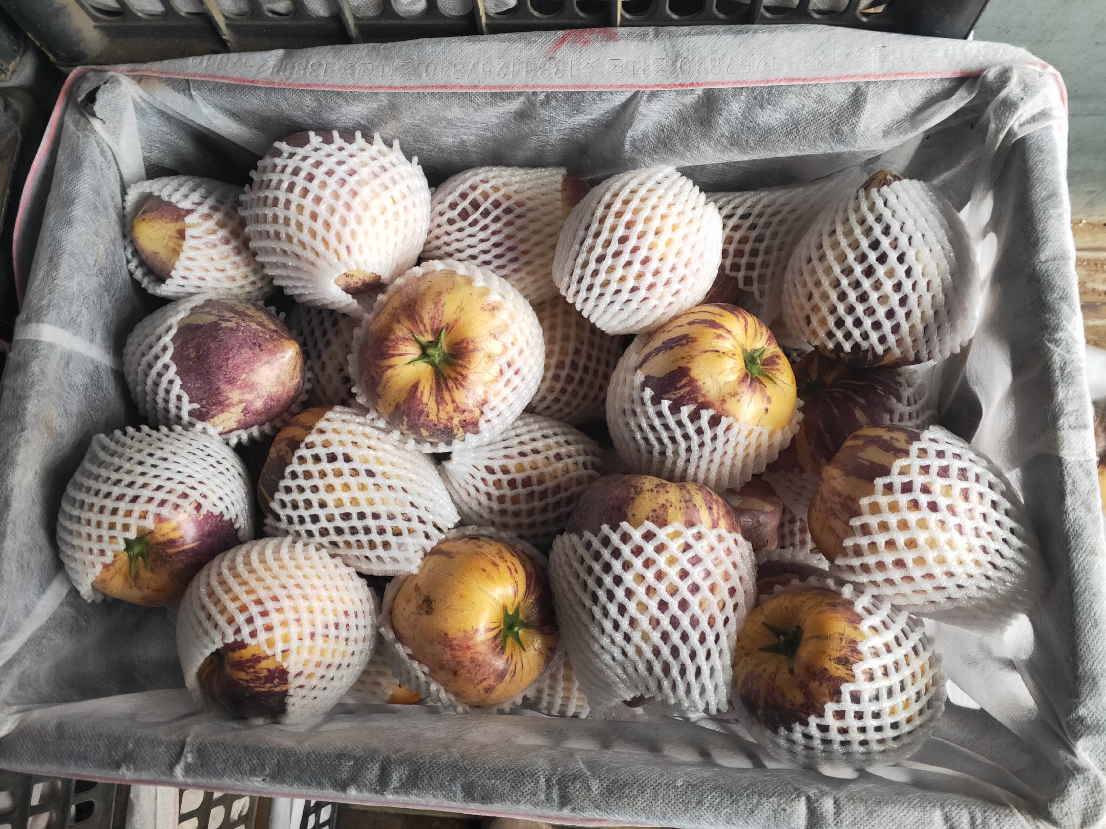 家庭冰箱中人参果冷藏实拍示意图