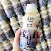 网红鹿角巷奶茶一箱340ml*12瓶货源充足量大优惠