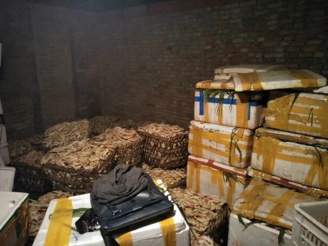 子姜在陶瓷缸中腌制,表面压着重物 腌制过程中的子姜