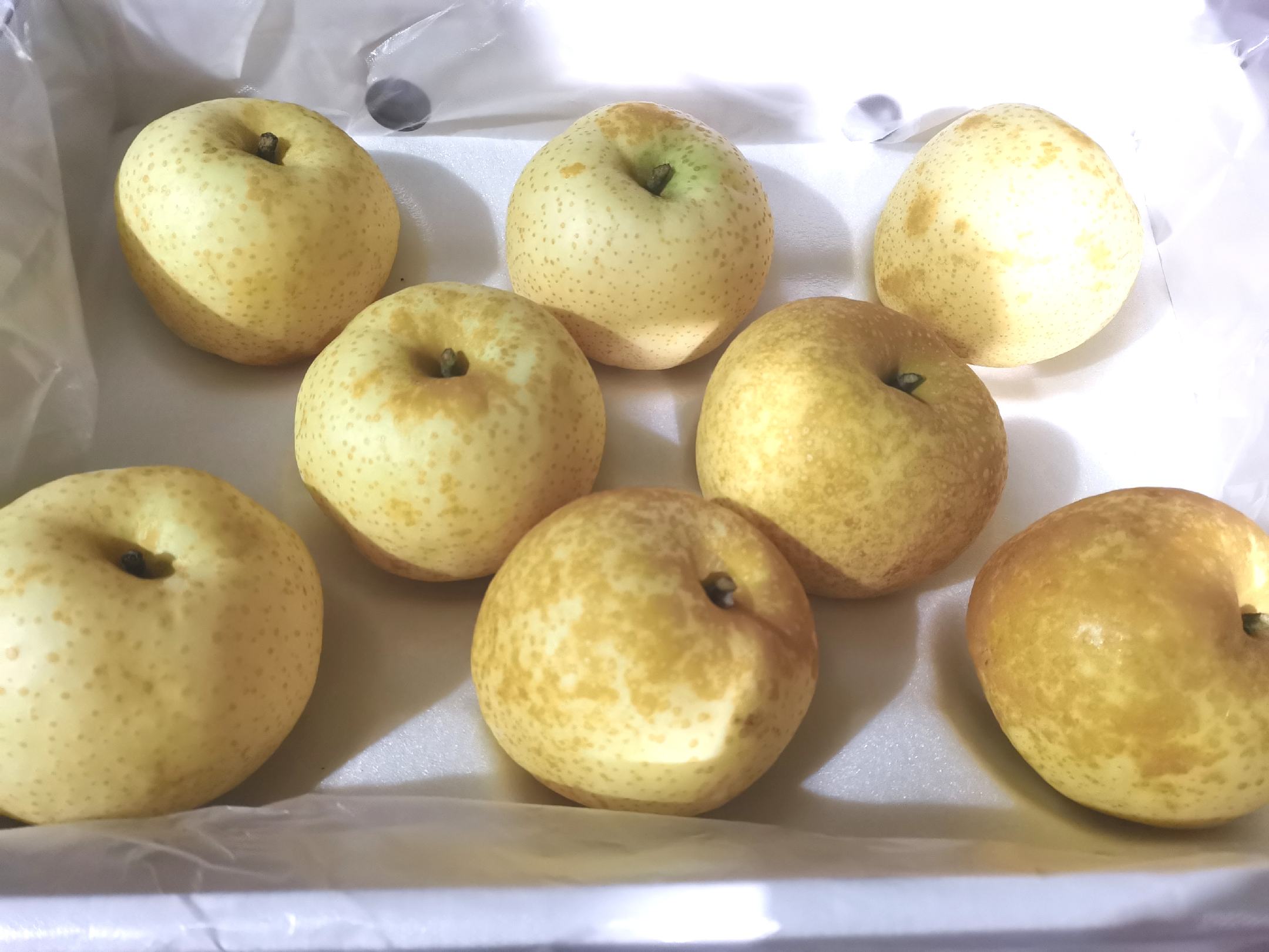 新高黄金梨特写果实图：单果饱满圆润，表皮呈现均匀浅金色，表面光滑如釉，果肩平滑，果脐微凹，果柄粗短挺直，背景为绿色果园枝叶