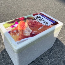 海南岛海蜇头毛重6斤海蜇头批发货源充足量大优惠