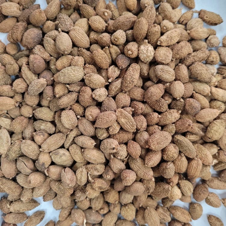 [砂仁批发]砂仁进口缅甸砂仁壳砂价格17.00元/斤 - 一亩田