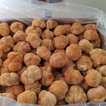 东北猴头菇食用菌干货8到10公分有机东北蘑菇