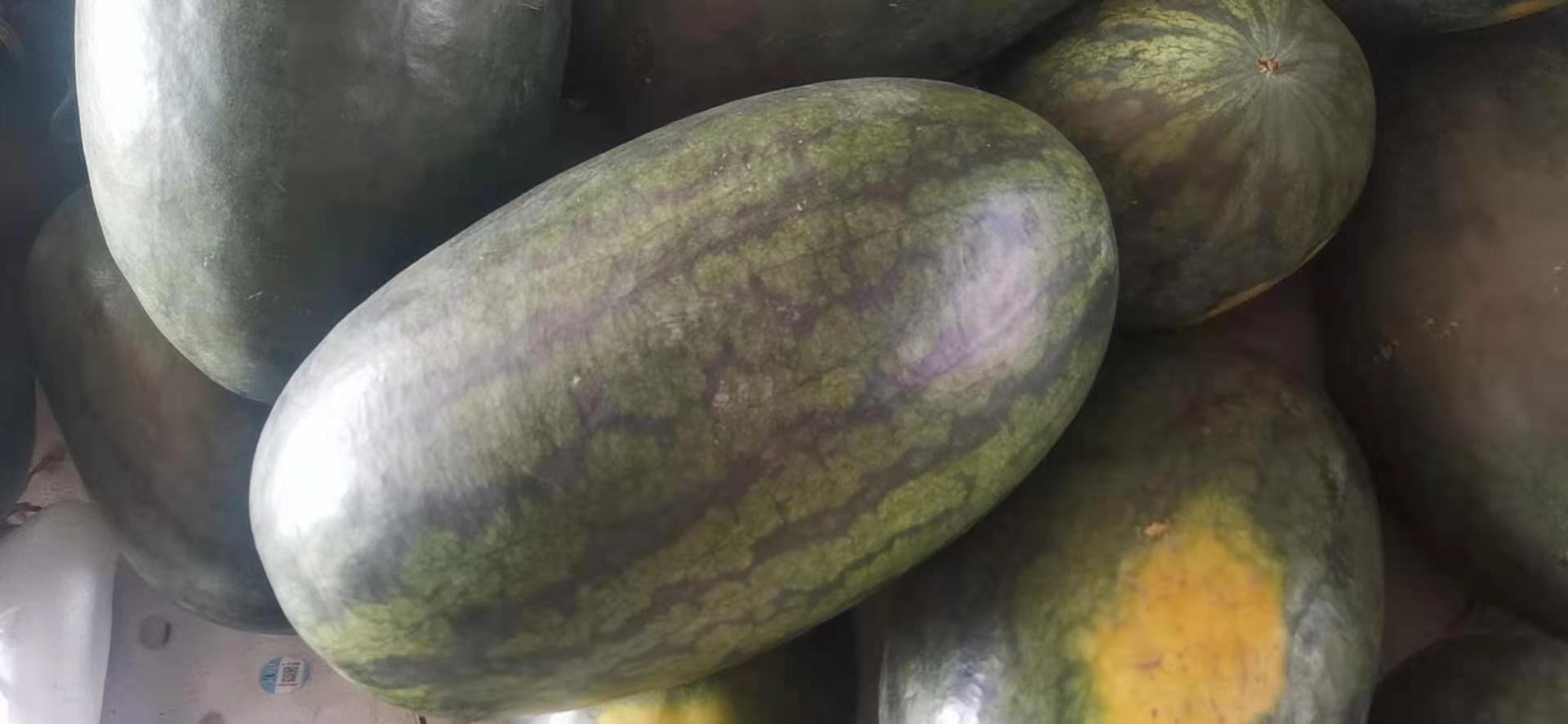 黑美人西瓜与普通西瓜对比图