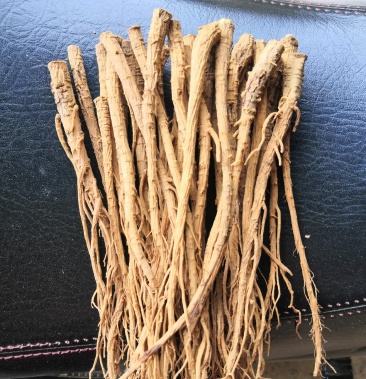 日本山岛岛(小柴胡)