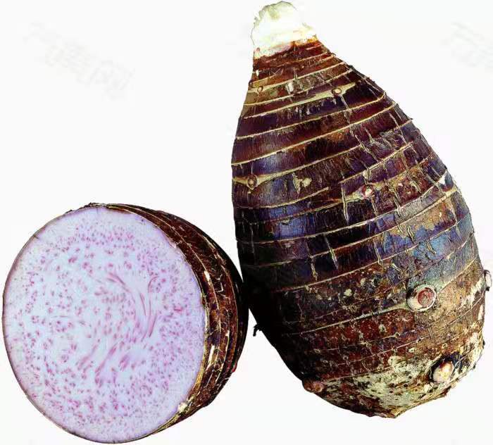 荔浦芋头横切面展示槟榔花纹理