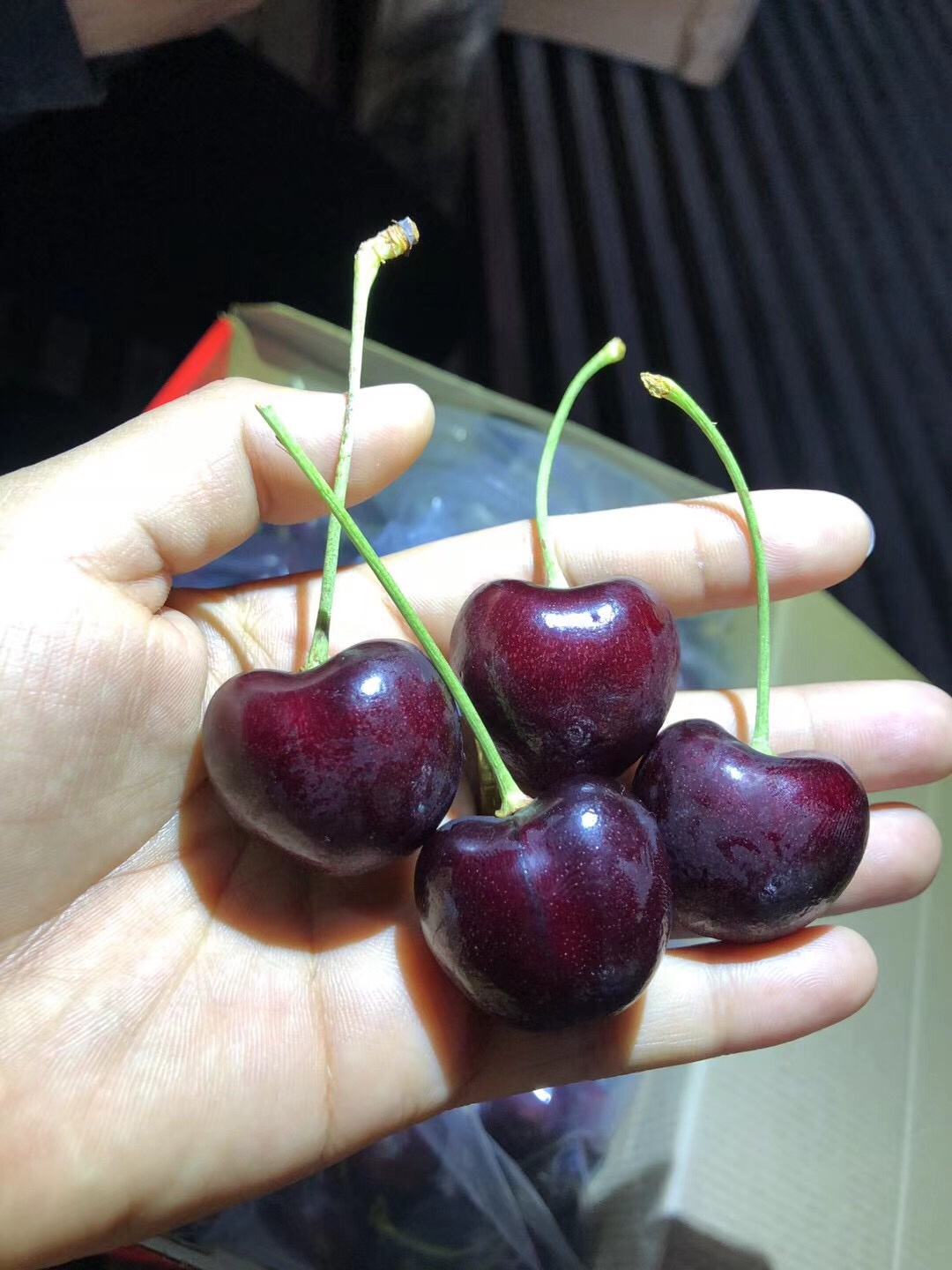 智利瑞吉娜 regina 车厘子sjd.pd 现货批发