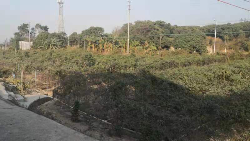 除草剂产品展示图