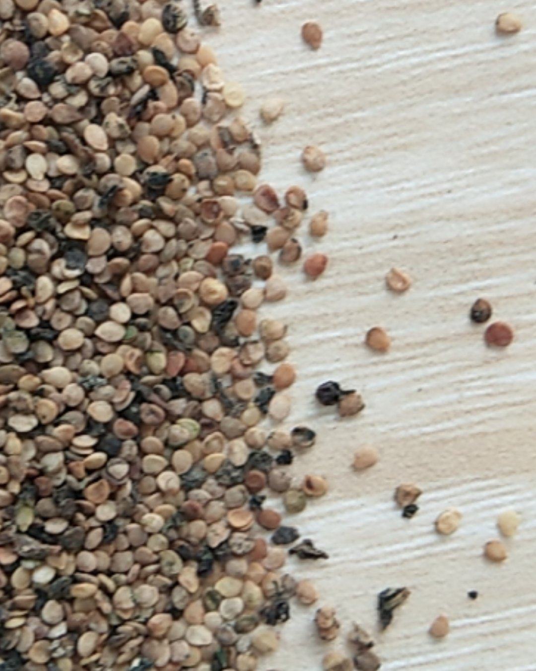 00元/斤 - 一亩田