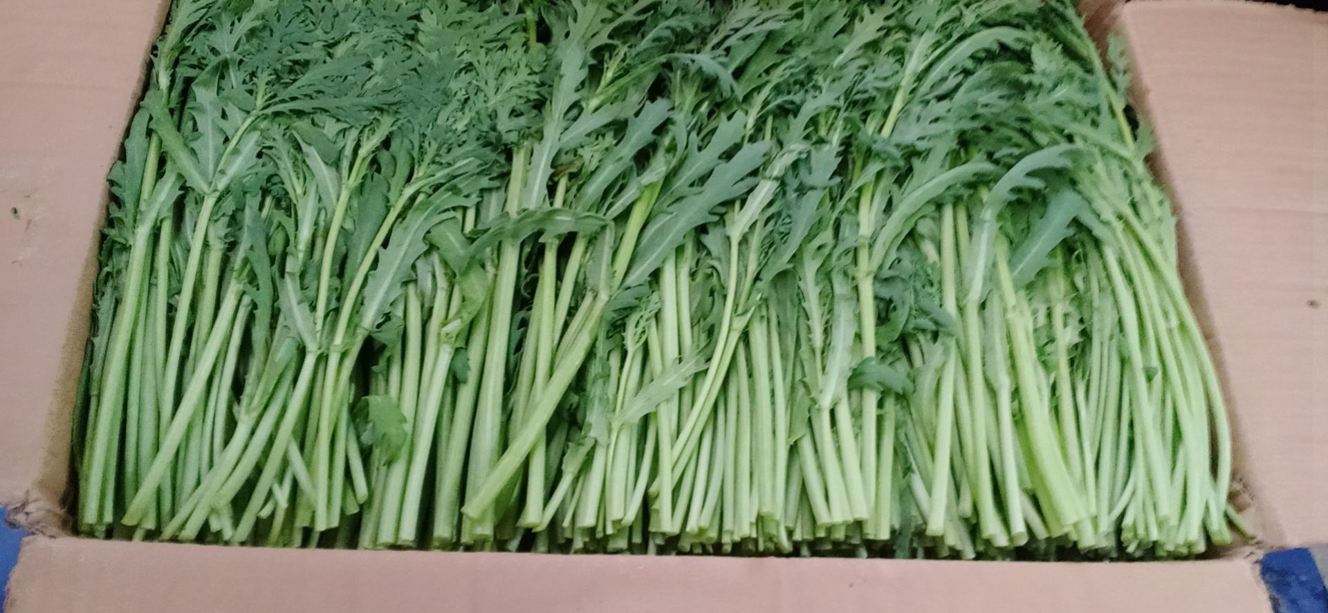 蒿子杆保存成品图