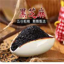 生黑芝麻熟芝麻一级色选芝麻颗粒饱满精选芝麻干净无尘无杂质