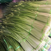 曲靖新鲜蒜苔上市了！新鲜白帽蒜苔，产品质量好！