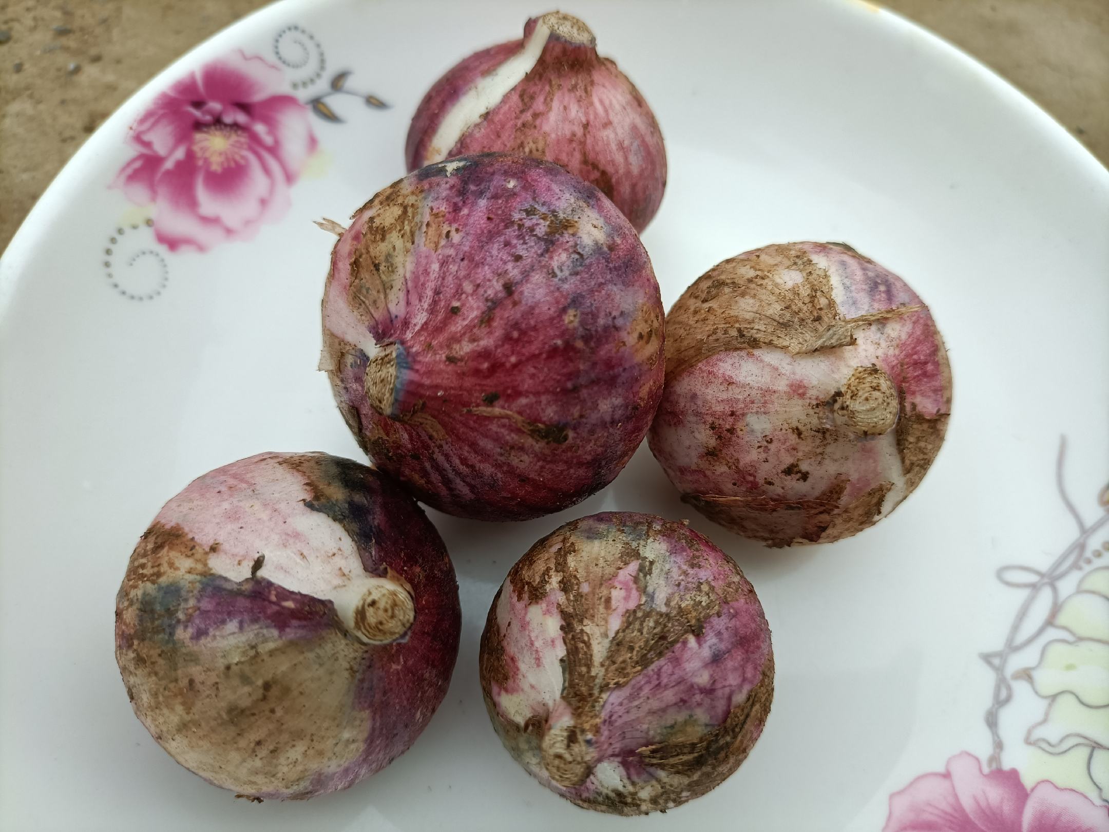 一盘以独头蒜为主角的凉拌菜,包括去皮的完整蒜瓣、橄榄油、黑醋、香草碎和几片柠檬片,摆放在浅色陶瓷盘中,背景为简约厨房台面,体现健康饮食风格 独头蒜料理场景