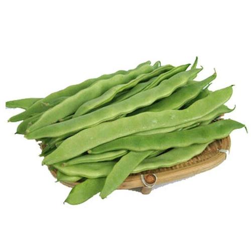 [扁豆批发]扁芸豆赶集货要货的抓紧了发财货都是挑过的货没有老的和斑