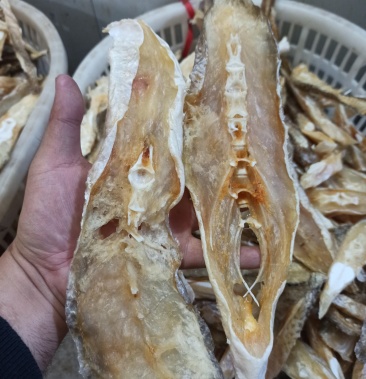 鱼干马友鱼干八成干午鱼干,淡香马友,骨少肉多,湛江特产