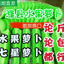 水果潍县萝卜，一级货，青萝卜个个青茬，不糠，产地现货