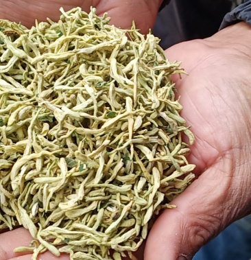 金银花烘干晒干药厂投料家庭泡茶装5公斤发货