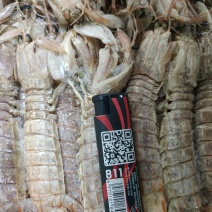 多肉熟冻皮皮虾，自助餐。