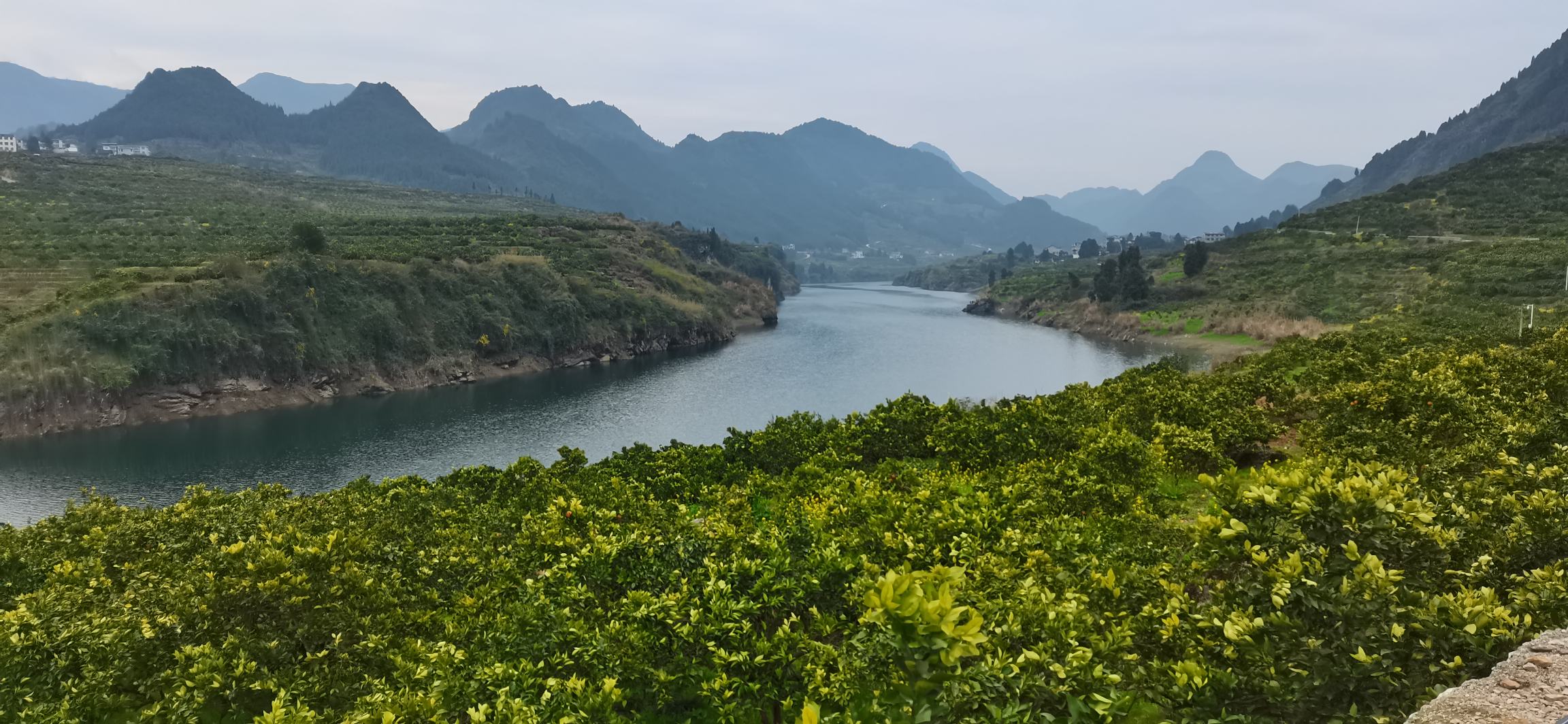 不同地区果园对比图