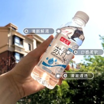 社区团购用双龙湾无气无糖苏打水375ml*12