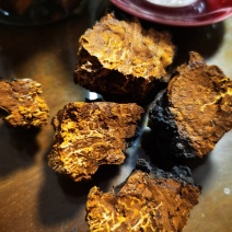 包邮白桦茸（桦树黄，桦褐孔菌）200克一袋精选货