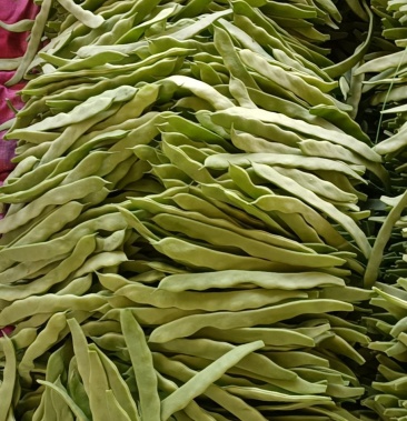 新鲜扁豆角大量上市欢迎老板采购