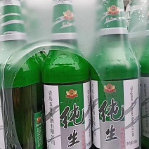 社区团购专用500毫升*9青岛纯升啤酒几毛一瓶大量有货